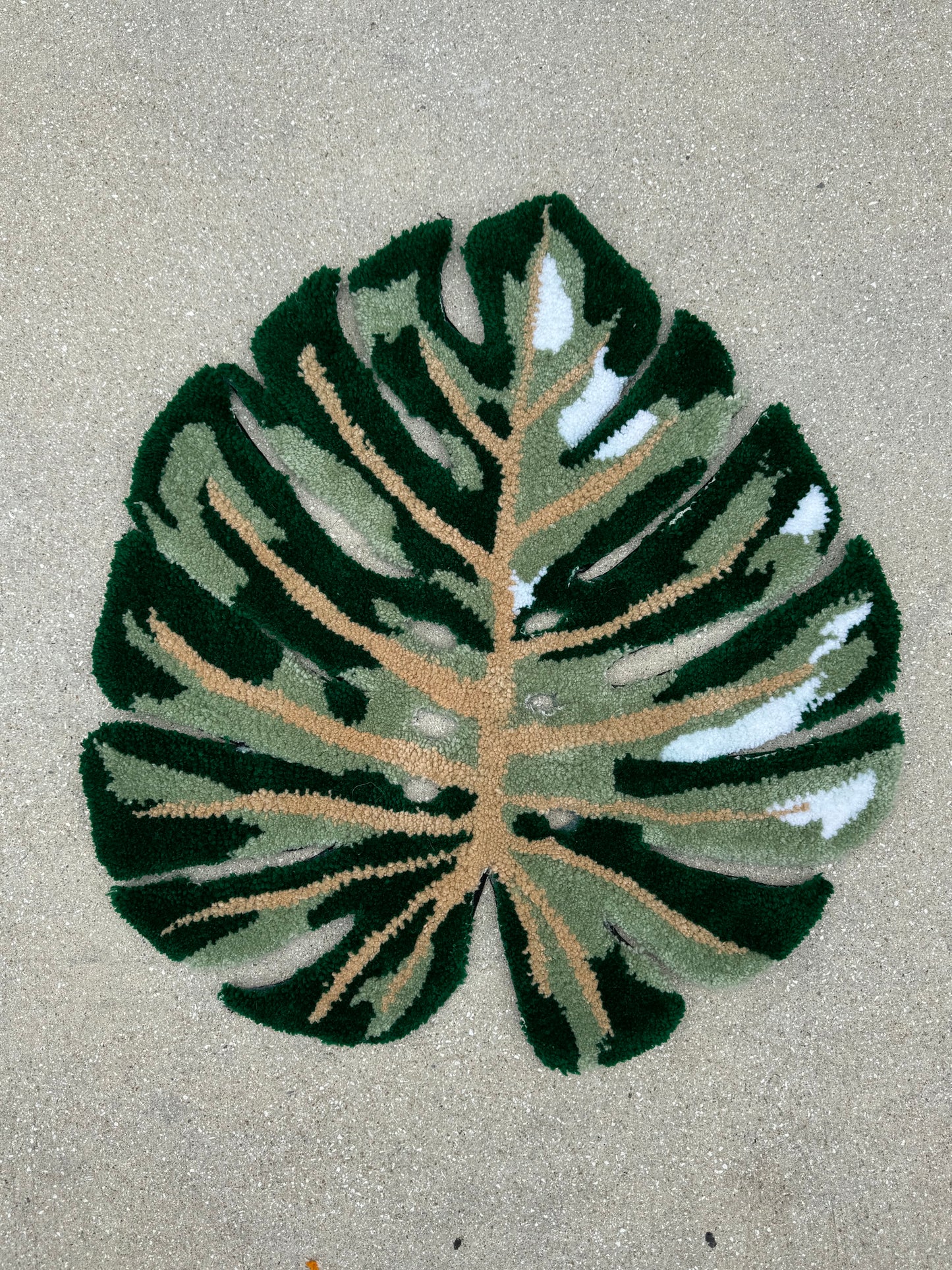 Monstera Leaf