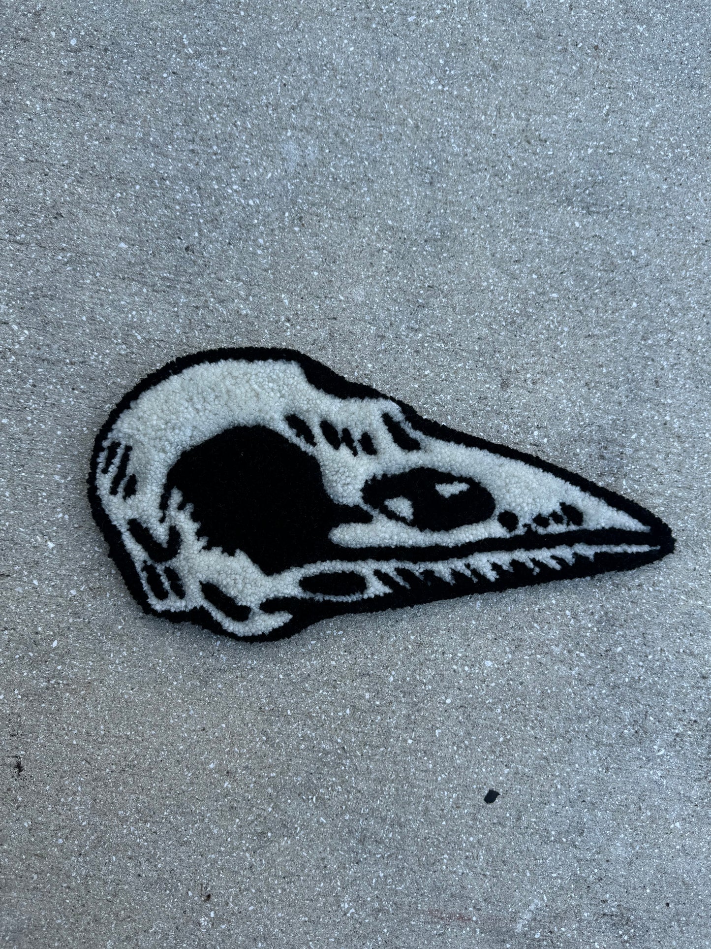 Bird Skull